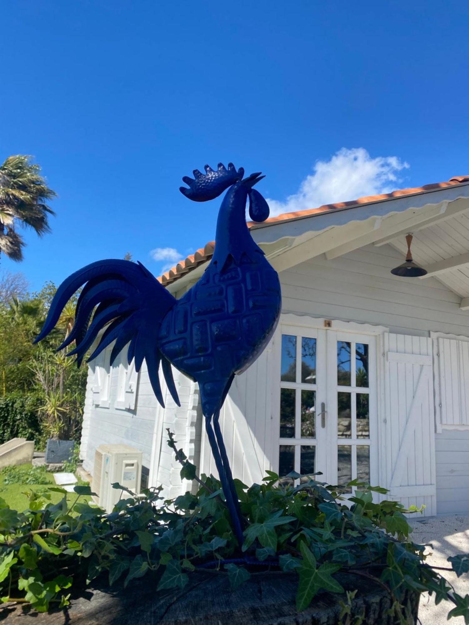 Maison Saint Paul Bnb La Colle-sur-Loup Zewnętrze zdjęcie