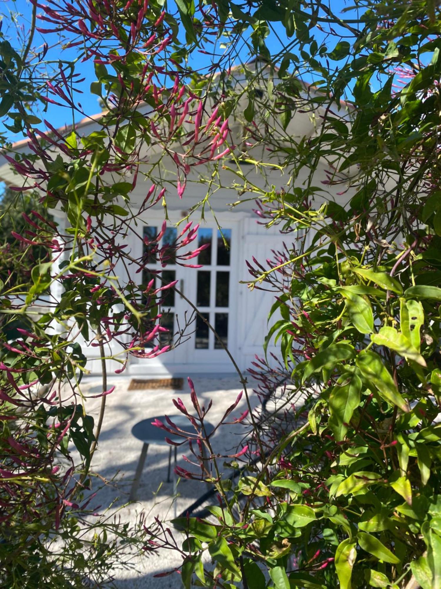 Maison Saint Paul Bnb La Colle-sur-Loup Zewnętrze zdjęcie